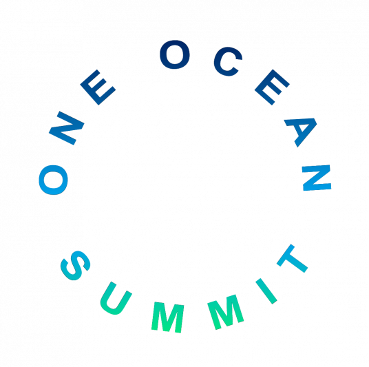 1105 One Ocean Summit