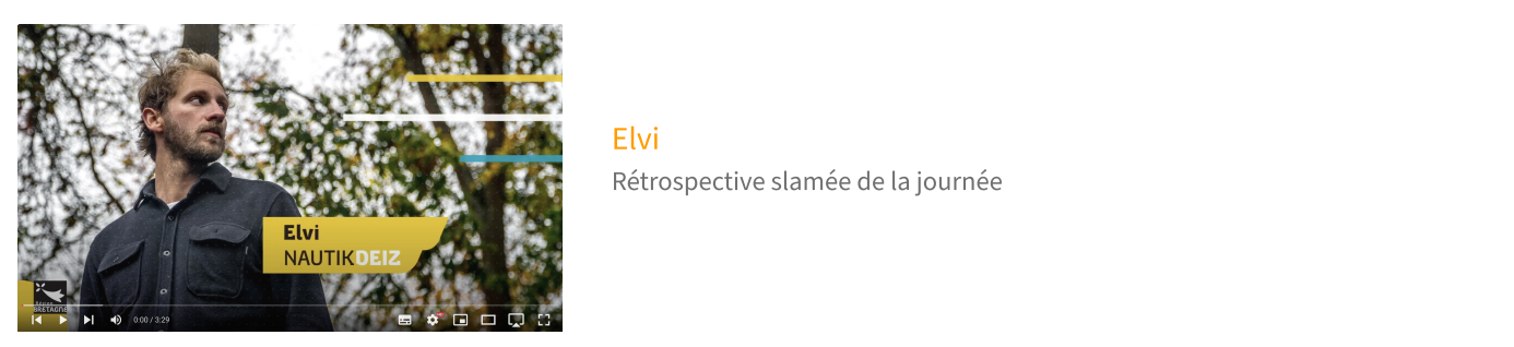 Elvi